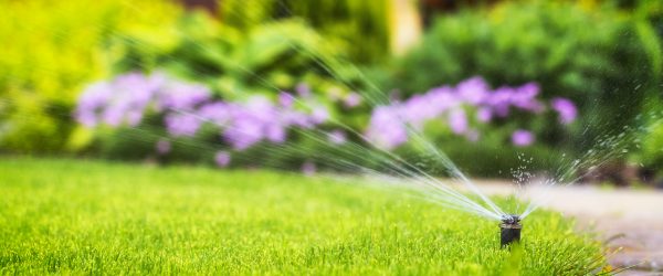 automatic sprinkler system watering the lawn on a background of green grass, close-up